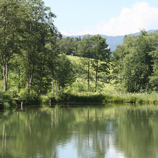 Angel Aussicht am See
