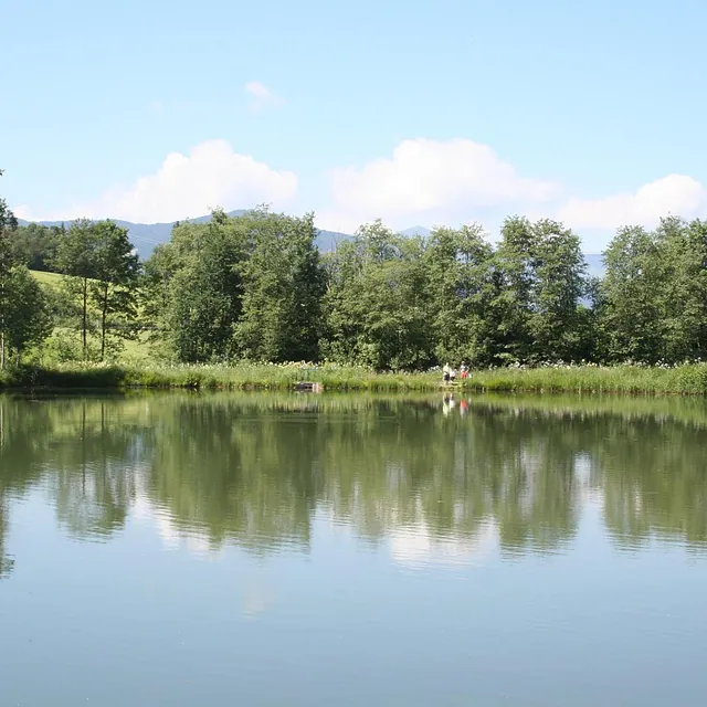 Angel Aussicht am See